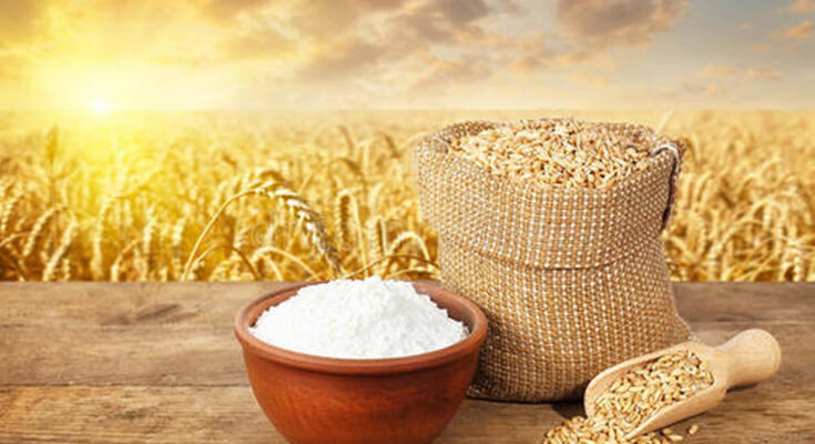 Wheat Starch Market