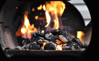 Global Barbecue Charcoal Market