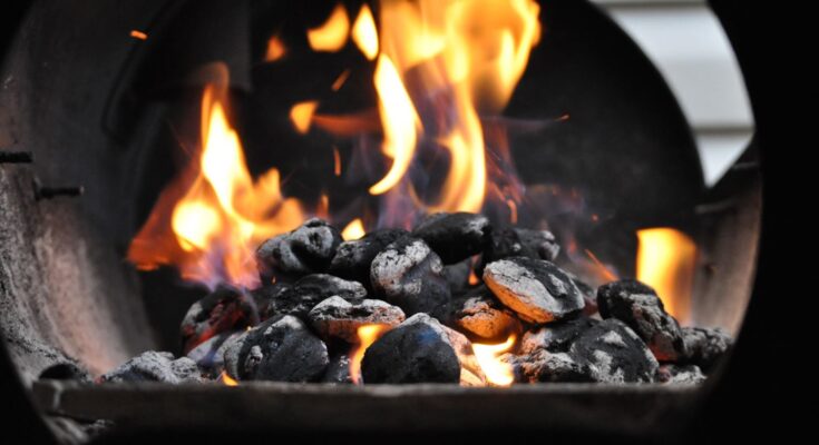 Global Barbecue Charcoal Market