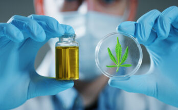 cannabis testing market