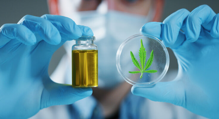 cannabis testing market