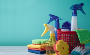 household cleaning products market