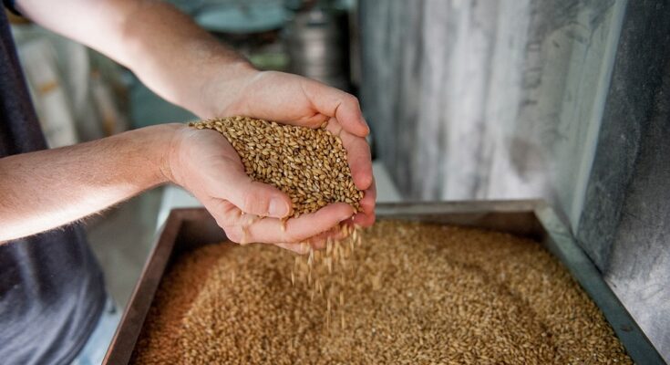 Specialty Malt Global Market