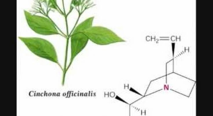 Global Quinine Market