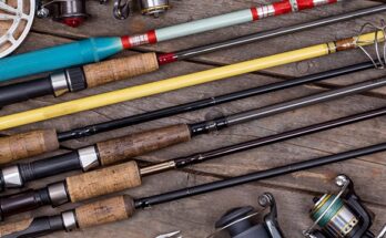 Global Saltwater Rods Market