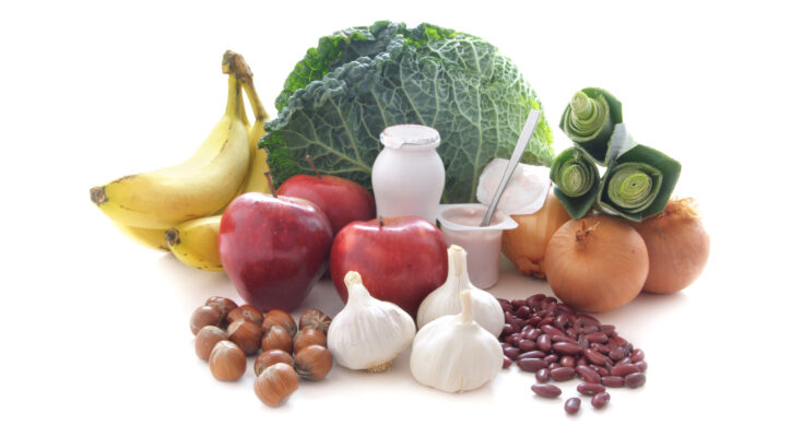 Global Prebiotics Market