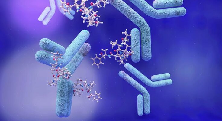 Antibody Drug Conjugates