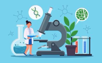 Biologics Contract Development Market Size