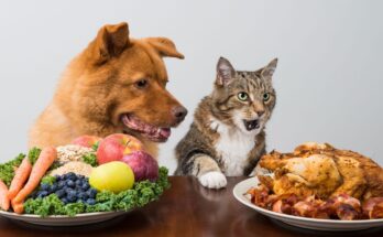 Cat & Dog Food Toppers Market