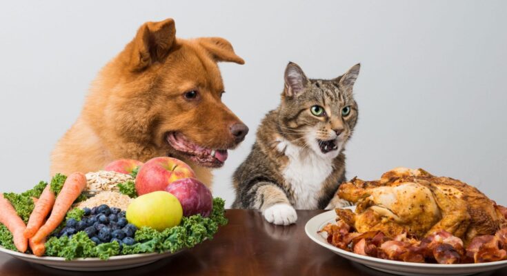 Cat & Dog Food Toppers Market