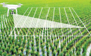 China AI in Agriculture Market Forecast 2017-2027: Projected Growth and Opportunities | TechSci Research