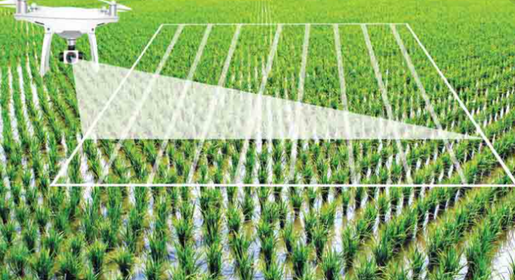 China AI in Agriculture Market Forecast 2017-2027: Projected Growth and Opportunities | TechSci Research