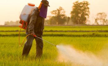 China Insecticides Market Forecast 2017-2027: Trends and Competition | TechSci Research