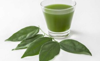 Chlorophyll Extract Market