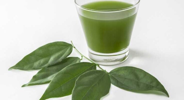 Chlorophyll Extract Market