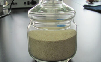 Enzyme Stabilizer