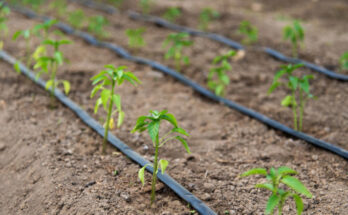 Europe Drip Irrigation Market- Analysis, Share, Trends, Demand, Size, Opportunity & Forecast