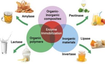 Global Food Enzymes Market