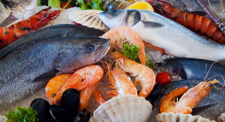 Frozen Seafood Market