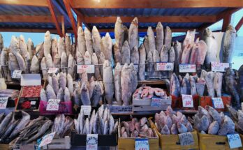 Frozen Seafood Market