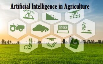 Global AI in Agriculture Market Is Likely to Experience a Tremendous Growth by 2017-2027