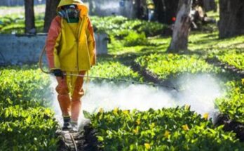 global-agricultural-fumigants-market-2015-2025-future-growth-opportunities-techsci-research