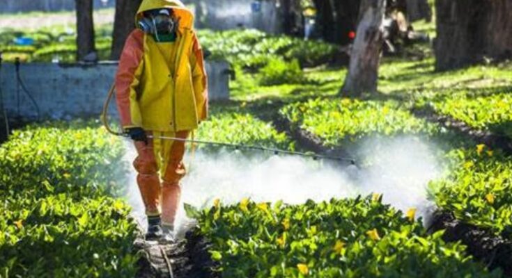 global-agricultural-fumigants-market-2015-2025-future-growth-opportunities-techsci-research