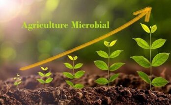 Global Agricultural Microbials Market- Share, Trends, Demand, Analysis, Size, Opportunity & Forecast