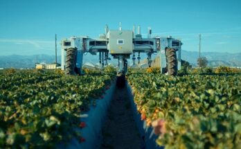 Global Agrobots Market