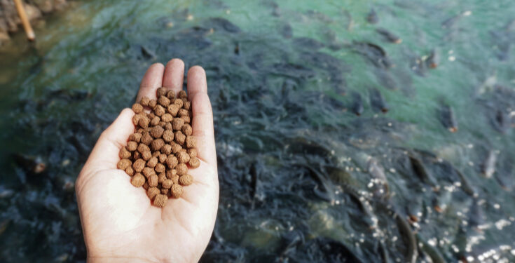 Global Aquafeed Market 2017-2027: Trends, Opportunities, and Forecasts | TechSci Research