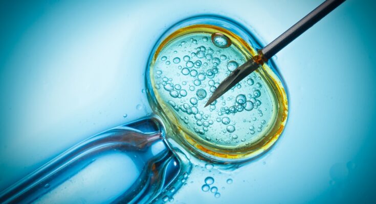 Global Assisted Reproductive Technology