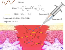 Global Bioadhesives Market Forecast 2028 - Projected Growth & Opportunities