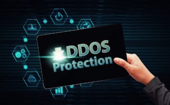 Global DDoS Protection And Mitigation Security Market