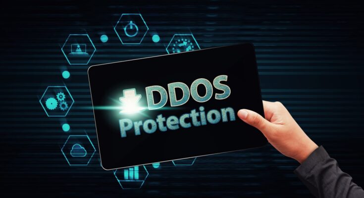 Global DDoS Protection And Mitigation Security Market