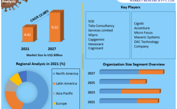 Digital Assurance Market 