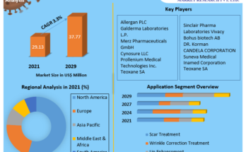 Global Hyaluronic Acid Based Dermal Fillers Market