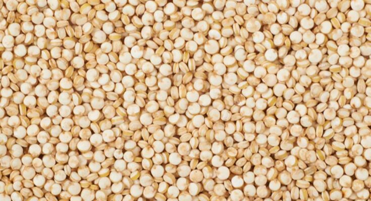 Predicted Growth for Global Quinoa Seeds Market , Expected to Reach billions by 2016-2026