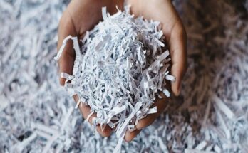 Global Recovered Paper Market