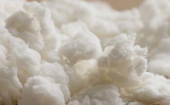 Global Regenerated Cellulose Market