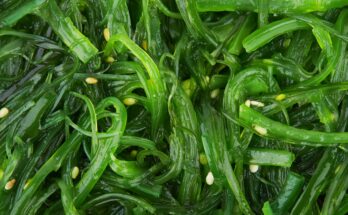 Global Seaweed Fertilizers Market Is Likely to Experience a Tremendous Growth by 2016-2026