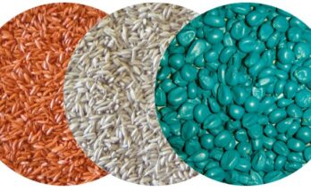 Global Seed Coating Market- Share, Trends, Analysis, Demand, Size, Opportunity & Forecast