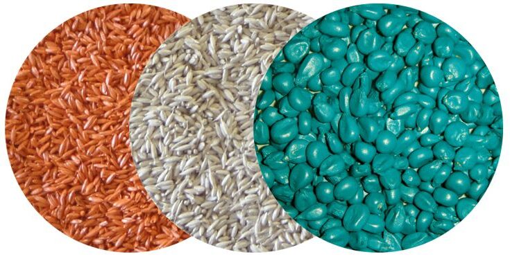 Global Seed Coating Market- Share, Trends, Analysis, Demand, Size, Opportunity & Forecast