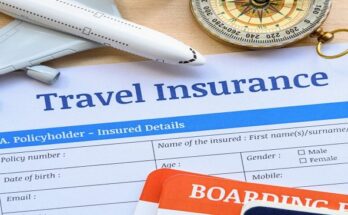 Global Travel Insurance Market