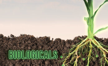 India Agricultural Biologicals Market | Latest Research Key Trends for Business Growth