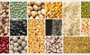 Billion $ Opportunity for India Agricultural Commodities Market for 2015-2025