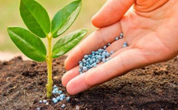 India Agricultural Micronutrients Market 2017-2027 : Regional Analysis and Forecast | TechSci Research