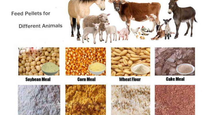 India Animal Feed Supplements Market Forecast 2017-2027: Trends and Competition | TechSci Research