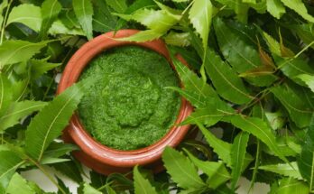 India Neem Extracts Market Is Likely to Experience a Tremendous Growth by 2017-2027