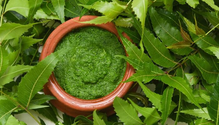 India Neem Extracts Market Is Likely to Experience a Tremendous Growth by 2017-2027