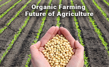 India Organic Farming Market Set to Surpass Billions by 2016-2016 – TechSci Research